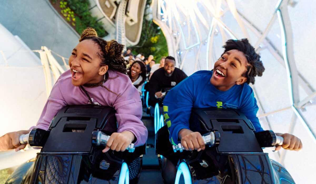 attraction requirements at Disney World