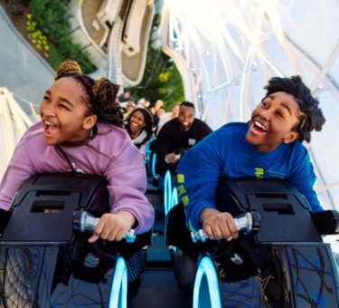 attraction requirements at Disney World