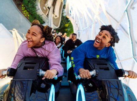 attraction requirements at Disney World