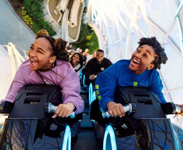 attraction requirements at Disney World