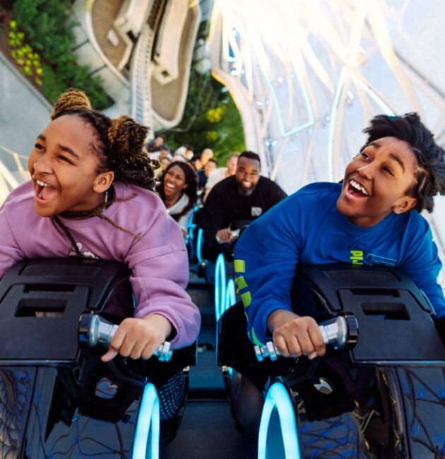 attraction requirements at Disney World